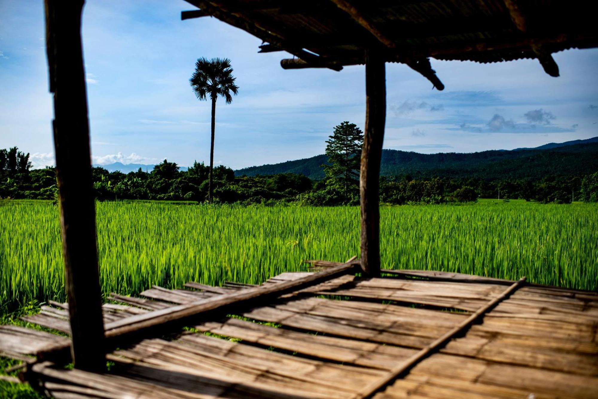 Suan Sook Homestay 宗通 外观 照片