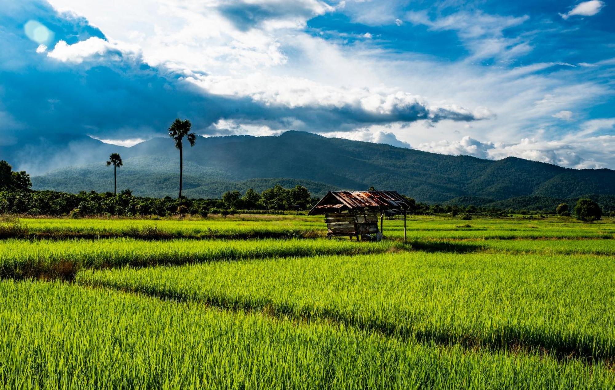 Suan Sook Homestay 宗通 外观 照片