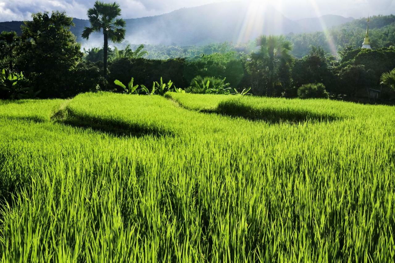 Suan Sook Homestay 宗通 外观 照片