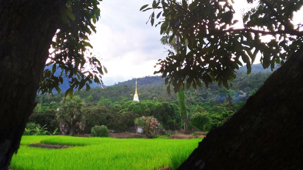 Suan Sook Homestay 宗通 外观 照片
