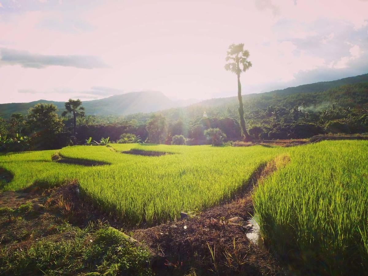 Suan Sook Homestay 宗通 外观 照片